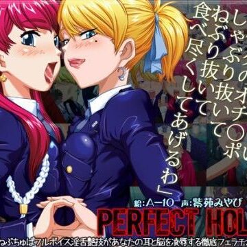 パーフェクトホールQ