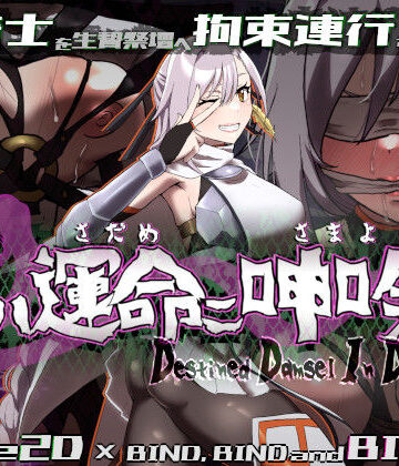 姫ハ運命ニ呻吟ヘリ Destined Damsel In Distress