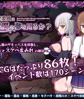 風紀委員は女淫魔の夢を見るか？