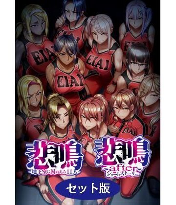 悲鳴 〜after〜 ショートストーリー セット版